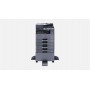 KYOCERA TASKalfa 2020 Multifunzione (Copia e stampa locale, scanner a colori locale) digitale